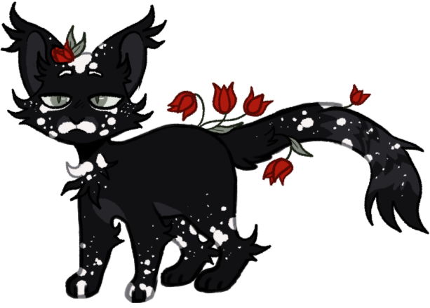 Base Custom example.